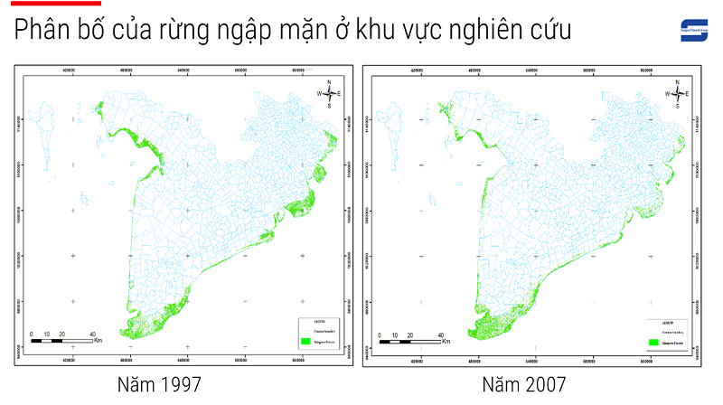 cá cược thể thao hul city